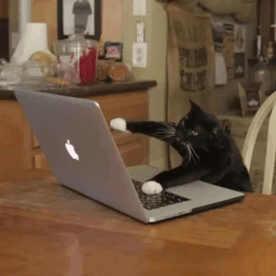 typing